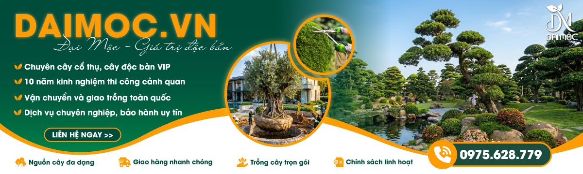 Cây Đại Mộc — Cung cấp cây xanh cảnh quan chất lượng cao