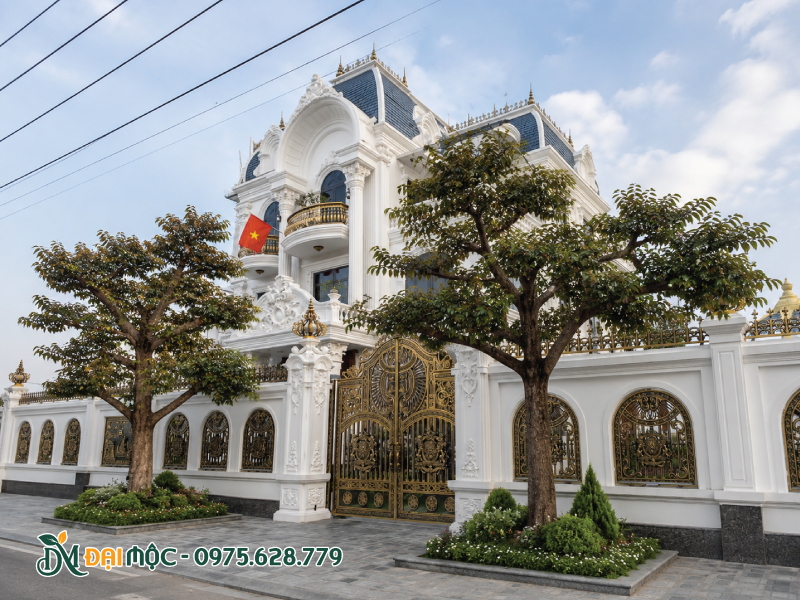 Cây vú sữa trồng hai bên cổng nhà biệt thự