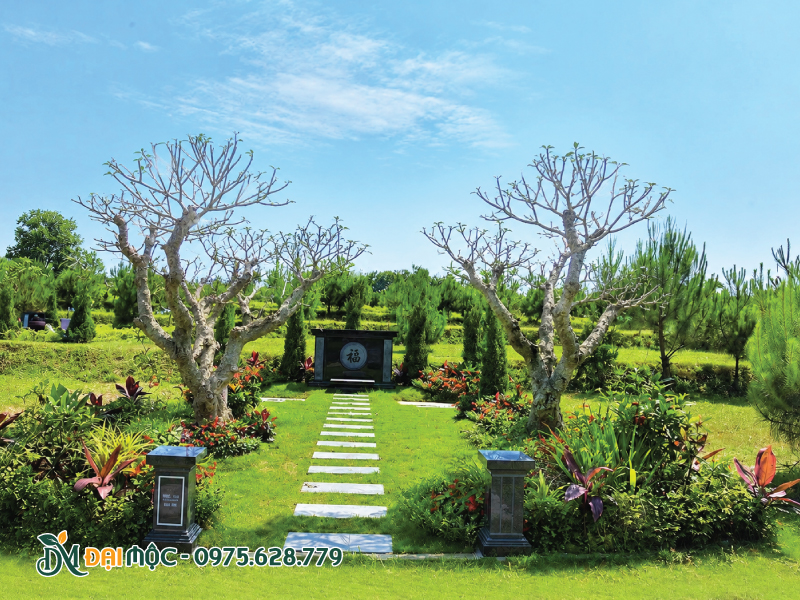 Trồng cây hoa đại hai bên lăng mộ
