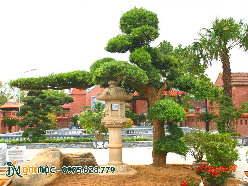 Tiểu cảnh cây xanh cổ thụ cho sân chùa