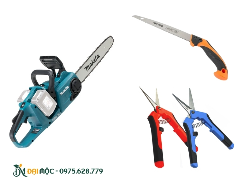 Các loại dụng cụ cần thiết khi cắt tỉa cây me cổ thụ