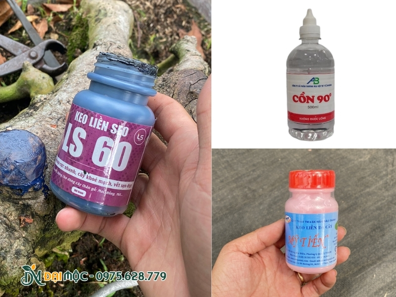 Cồn sát khuẩn và keo bôi liền sẹo cho cây
